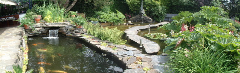 Le jardin aquatique de rve du Condroz - Printemps 2003 8  1 