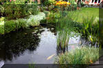 Jardins aquatiques de rve en ville 3  6 