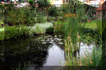 Jardins aquatiques de rve en ville 3  4 