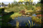 Le jardin aquatique de Scoubidou automne 2005  22 