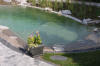 Un bassin baignade dans les Vosges - PAGE PHOTO 3  9 