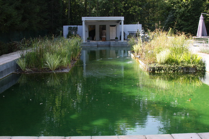 Piscine transforme en piscine biologique - La filtration   2 