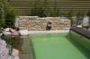 Mini piscine biologique et bassin de jardin - la piscine biologique  11 