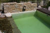 Mini piscine biologique et bassin de jardin - la piscine biologique  3 
