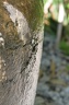 IMG 3291