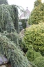 IMG 3935