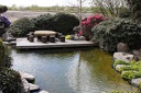 IMG 3080