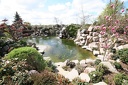 IMG 9706