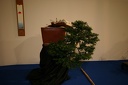 IMG 8805