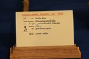 IMGs 0098