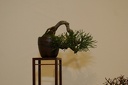 IMGs 0364