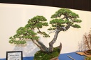 IMG 5549