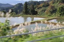 IMG 8594