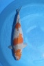IMG 5543
