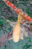 IMG 9501
