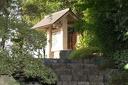 IMG 5588