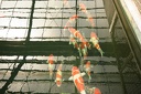 IMG 5796