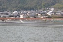 IMG 6539