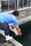 IMG 4564