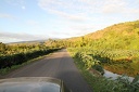 IMG 2355