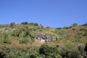 IMG 3611