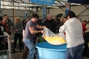 IMG 0823