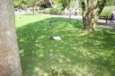 IMG 8091