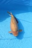 IMG 0398