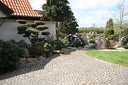 IMG 9641